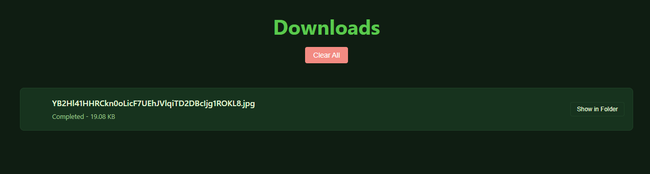 Downloads manager